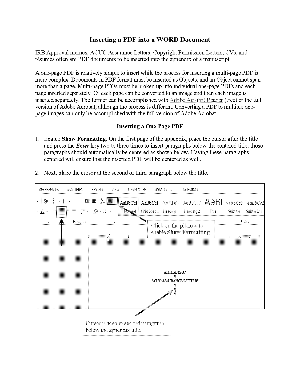 adding a pdf file at the end of latex document