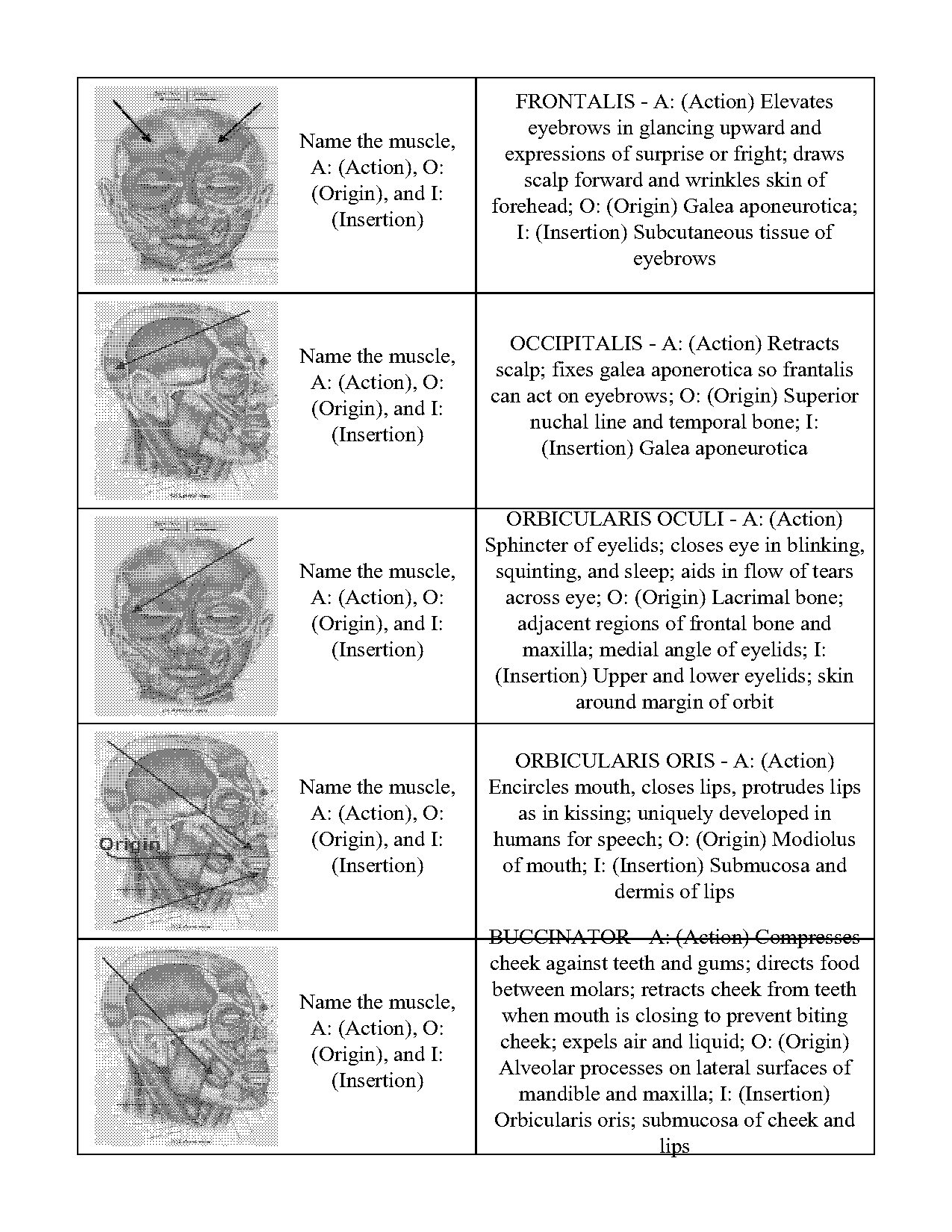 an insertion generally moves towards an origin in contraction