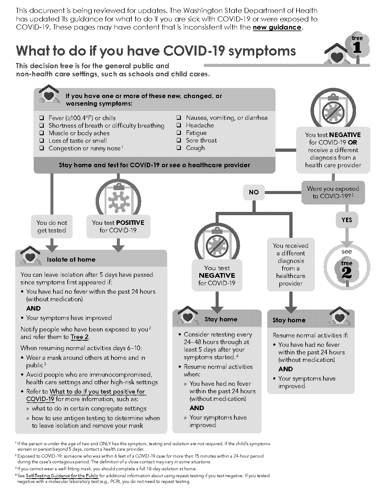 fake covid negative test pdf